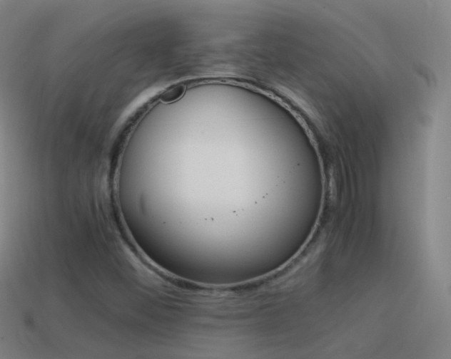 X0000114411452200910161155