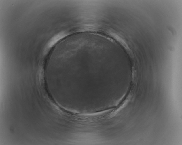 X0000114411453200910161155