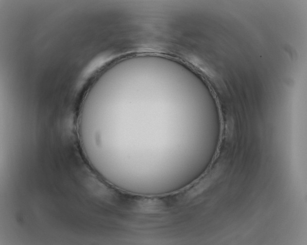 X0000114411454200910161155