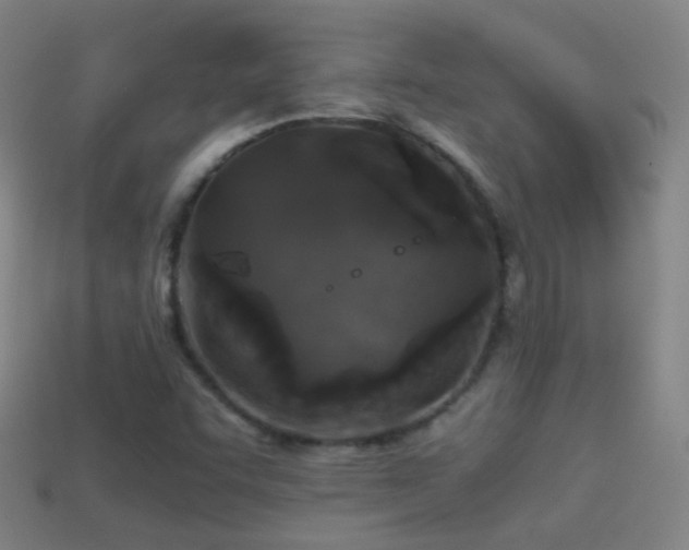 X0000114411455200910161155