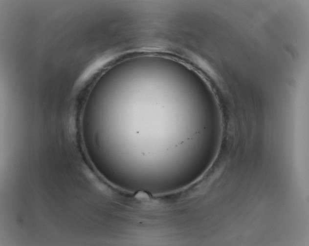 X0000114411456200910161155