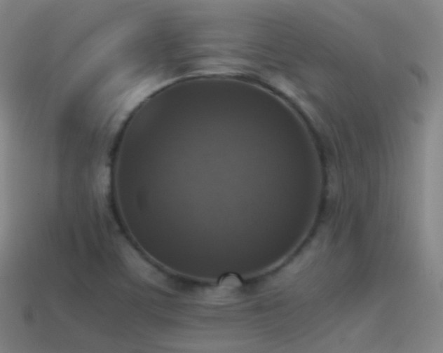 X0000114411459200910161155