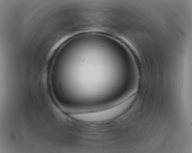 X0000114411460200910161155