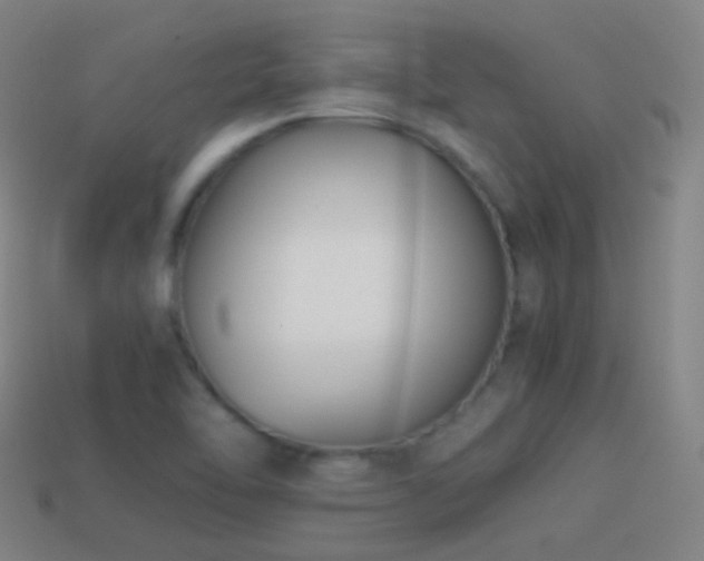X0000114411462200910161155