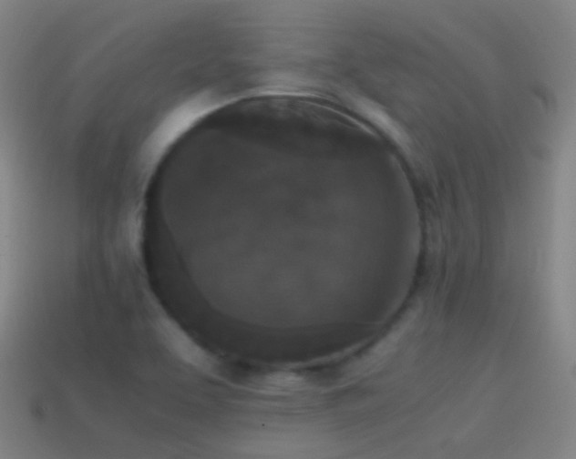X0000114411463200910161155