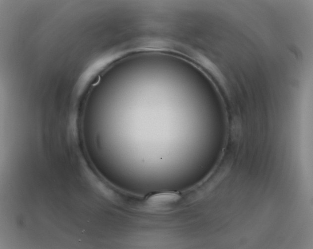 X0000114411464200910161155
