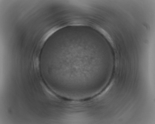 X0000114411465200910161155