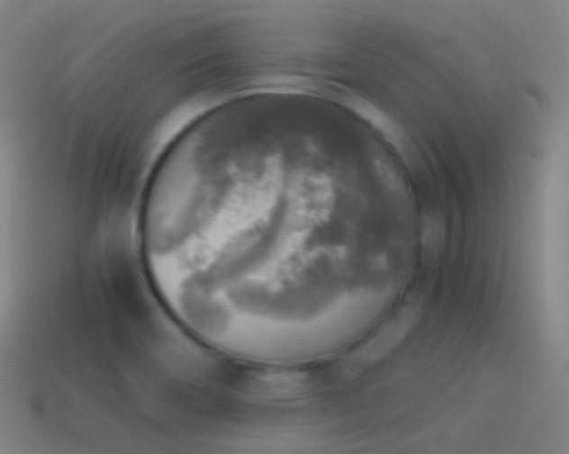 X0000114411466200910161155