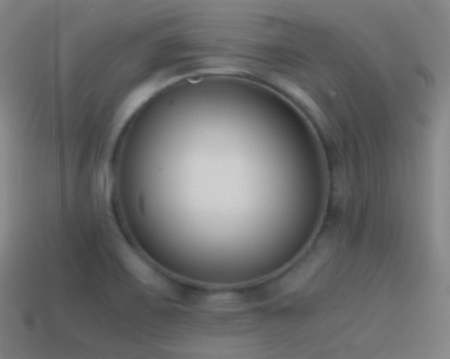 X0000114411467200910161155