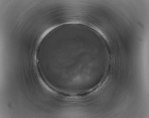 X0000114411468200910161155