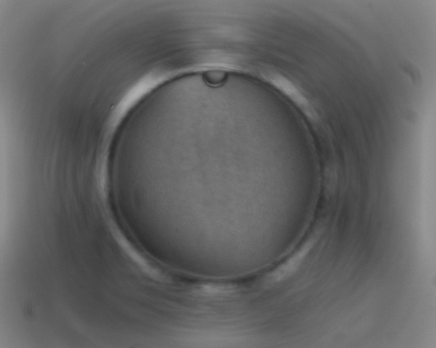 X0000114411469200910161155
