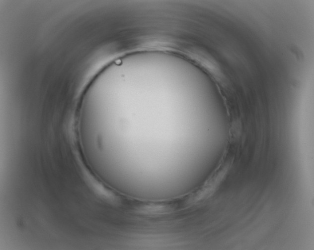 X0000114411470200910161155