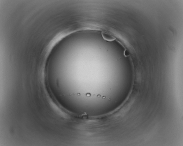 X0000114411471200910161155