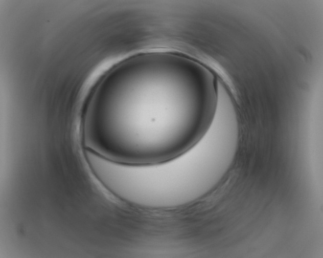 X0000114411472200910161155