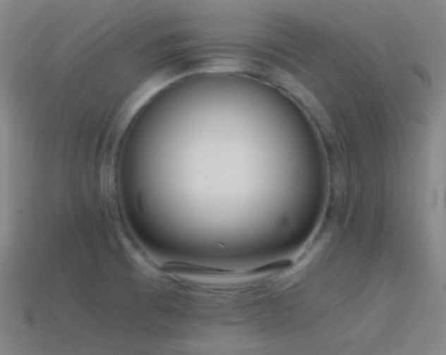 X0000114411473200910161155