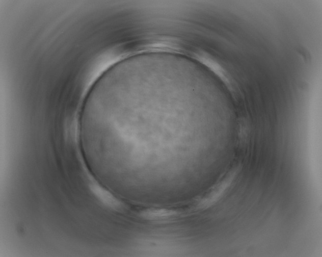 X0000114411474200910161155