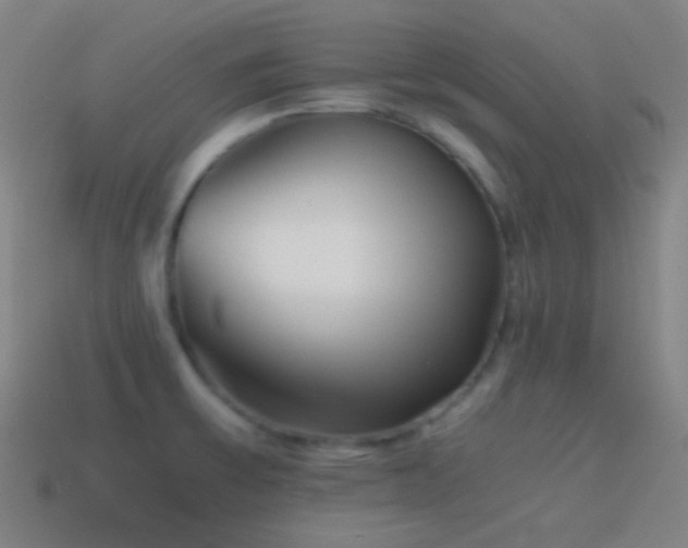 X0000114411475200910161155