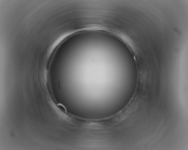 X0000114411476200910161155