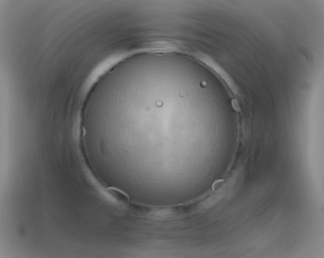 X0000114411477200910161155