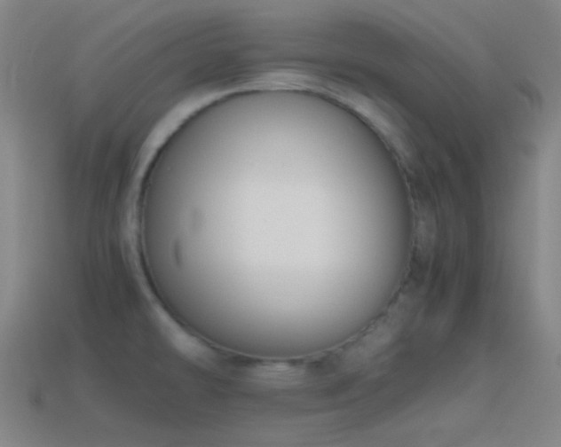 X0000114411478200910161155