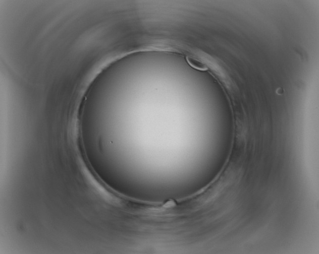 X0000114411479200910161155