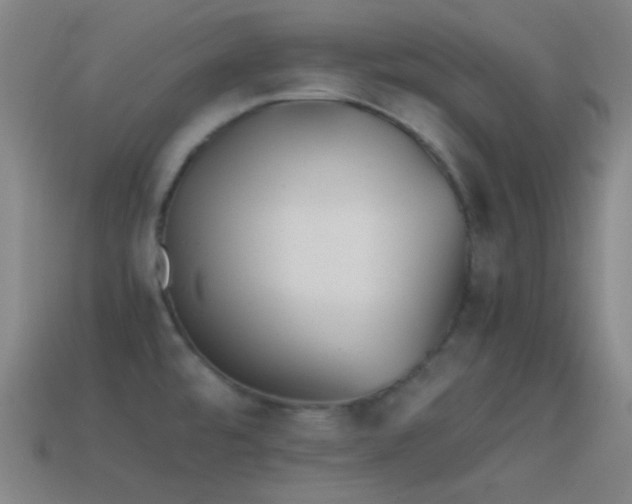 X0000114411480200910161155