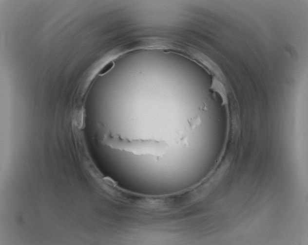 X0000114411481200910161155
