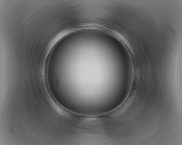 X0000114411482200910161155