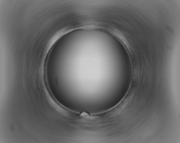X0000114411483200910161155