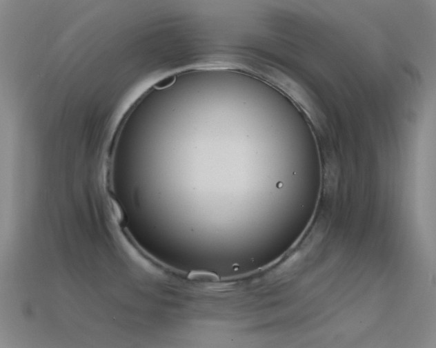 X0000114411484200910161155