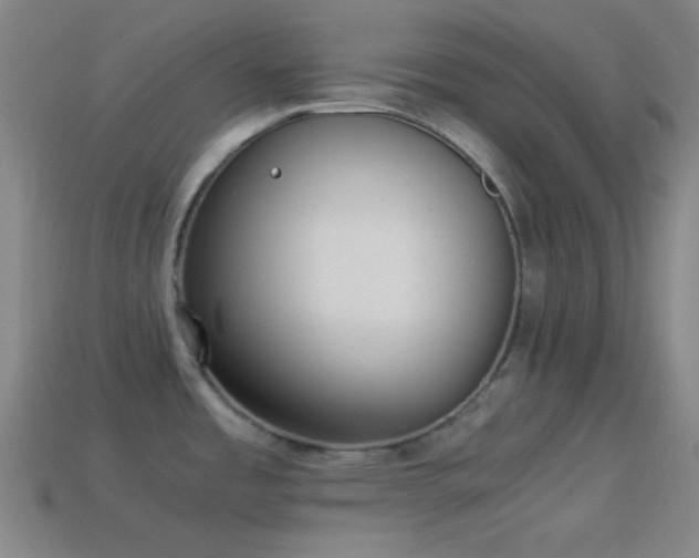X0000114411485200910161155