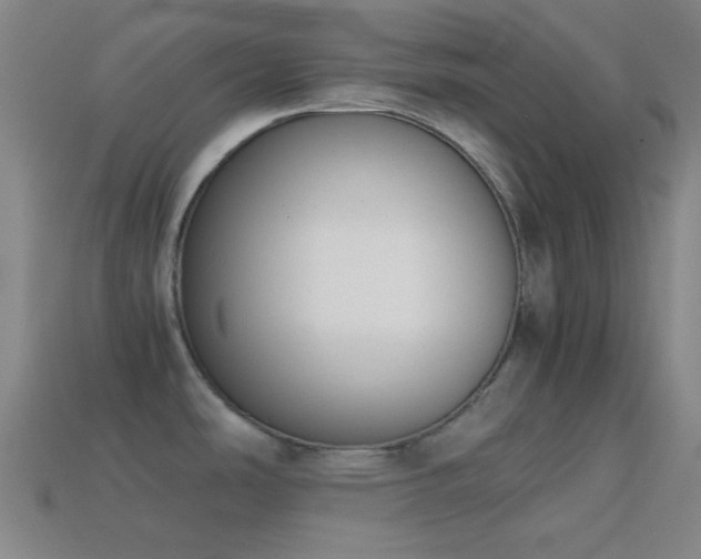 X0000114411486200910161155