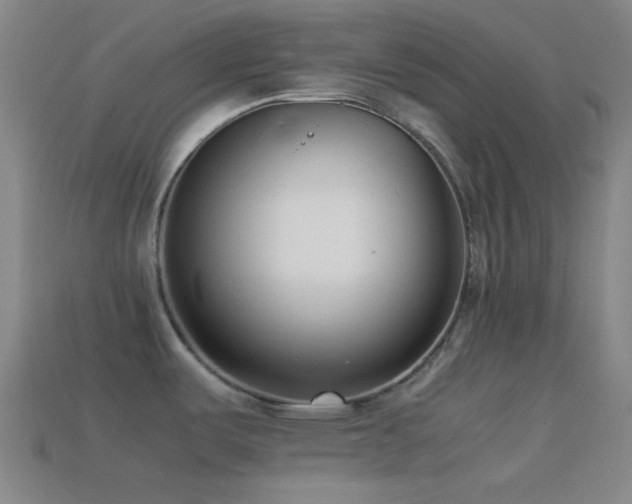 X0000114411487200910161155