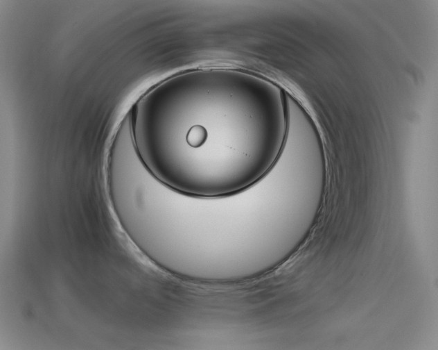 X0000114411488200910161155