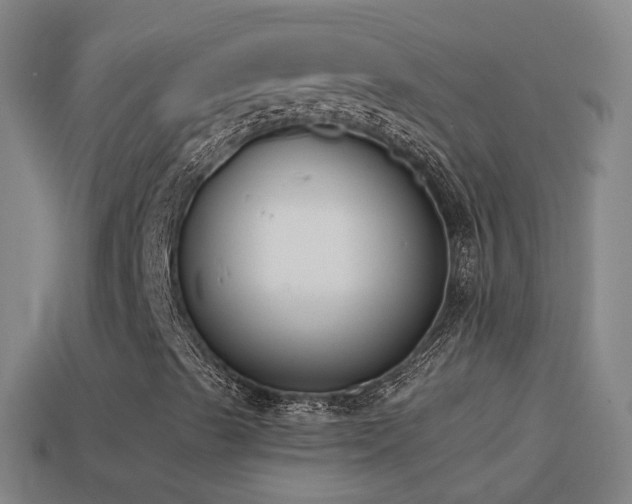 X0000114411489200910161154