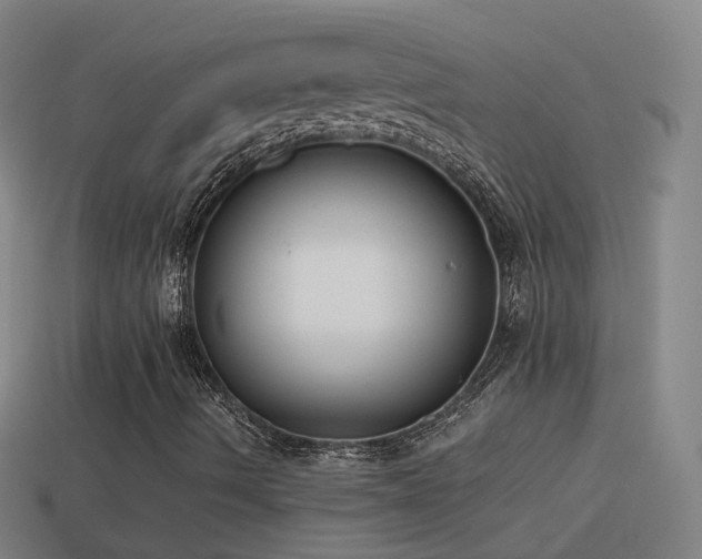 X0000114411490200910161154