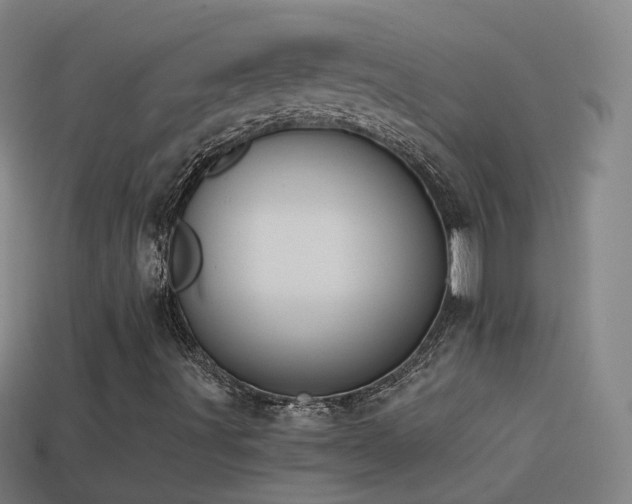 X0000114411491200910161154