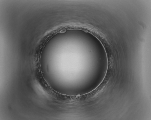 X0000114411494200910161154