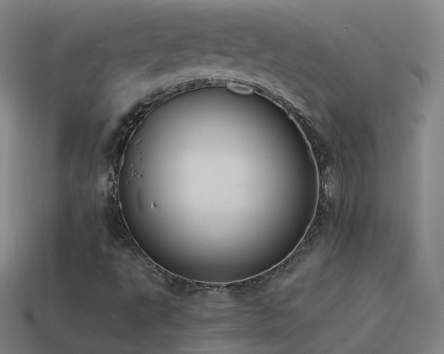 X0000114411495200910161154