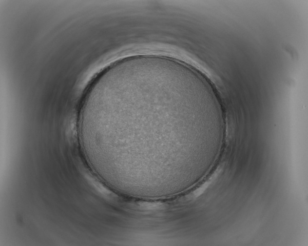 X0000114411498200910161154