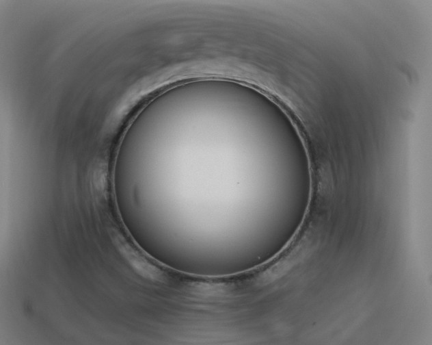 X0000114411499200910161154