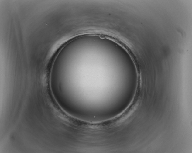 X0000114411501200910161154