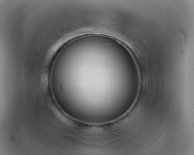 X0000114411503200910161154