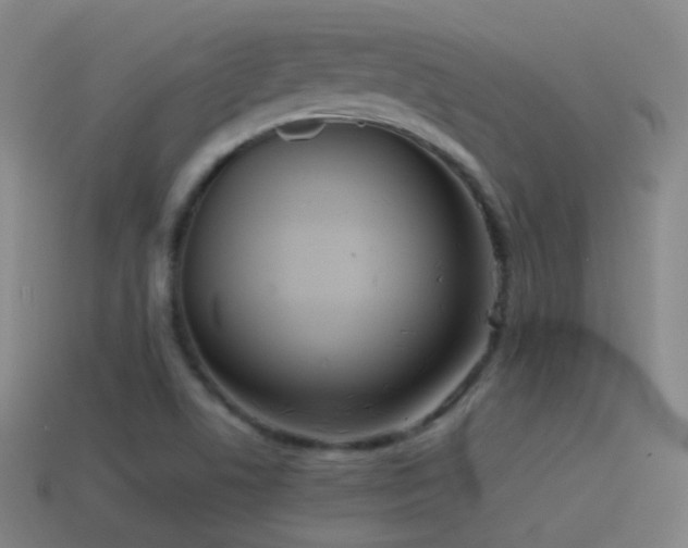 X0000114411506200910161154
