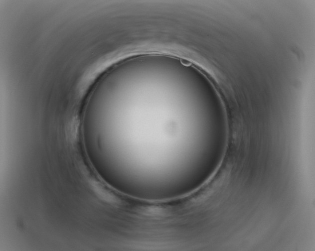 X0000114411507200910161154