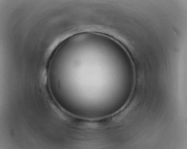 X0000114411509200910161154