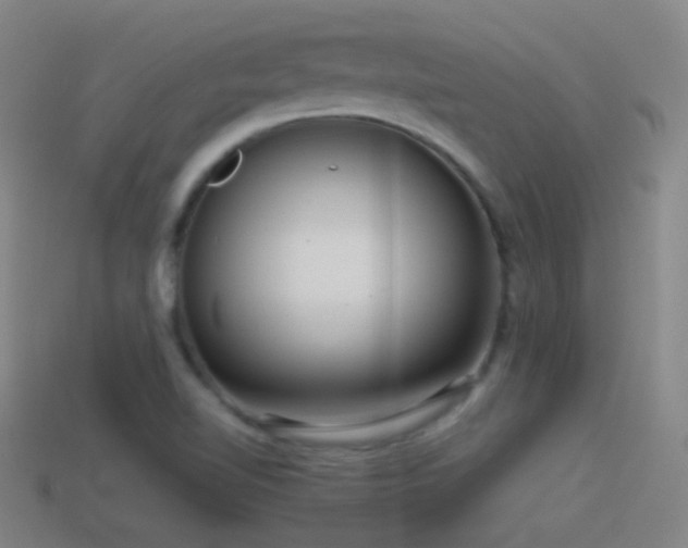 X0000114411510200910161154