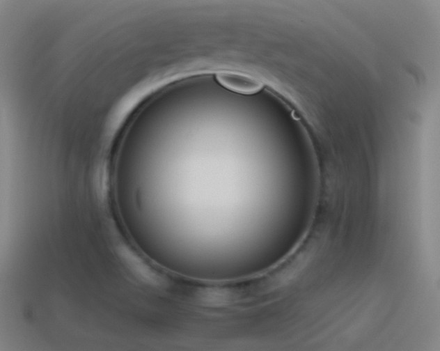 X0000114411511200910161154