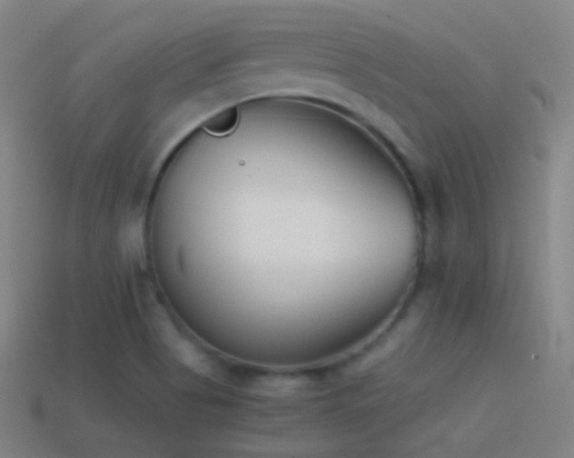 X0000114411513200910161154
