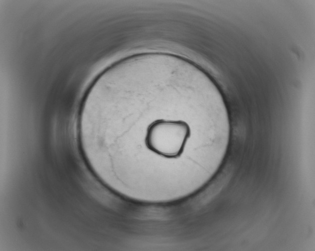 X0000114411514200910161154